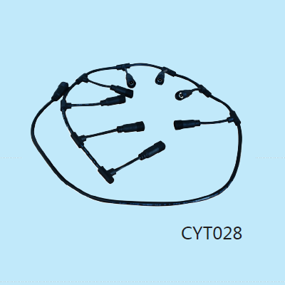 CYT028