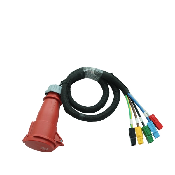 Custom Wire Harness 03